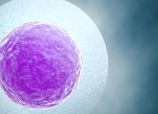 试管婴儿促排卵药物选择攻略，助你成功孕育新生命！