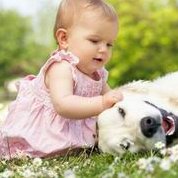 输卵管积水造成不孕，想要怀孕可以用这些方法