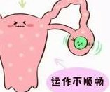 在北京做试管婴儿的费用与成功率情况如何？哪个医院最靠谱？