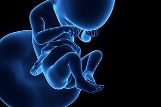 试管婴儿回当地医院做一超二超三超时间分别是几周？