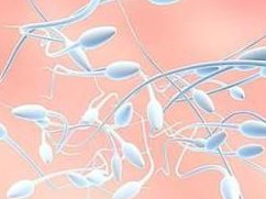 吃什么补子宫内膜最快？子宫内膜饮食如何护理？